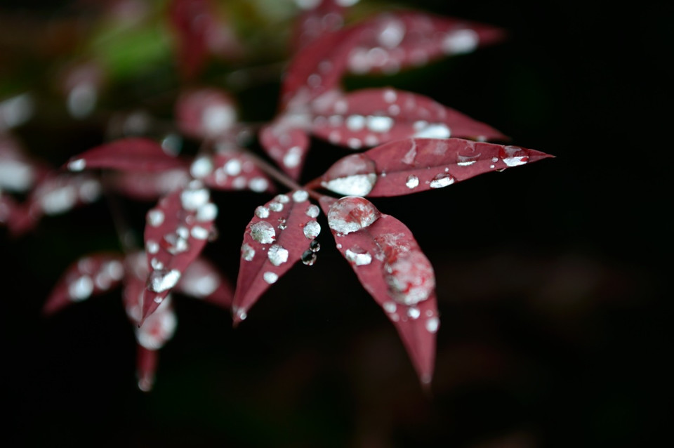 秋天的雨季