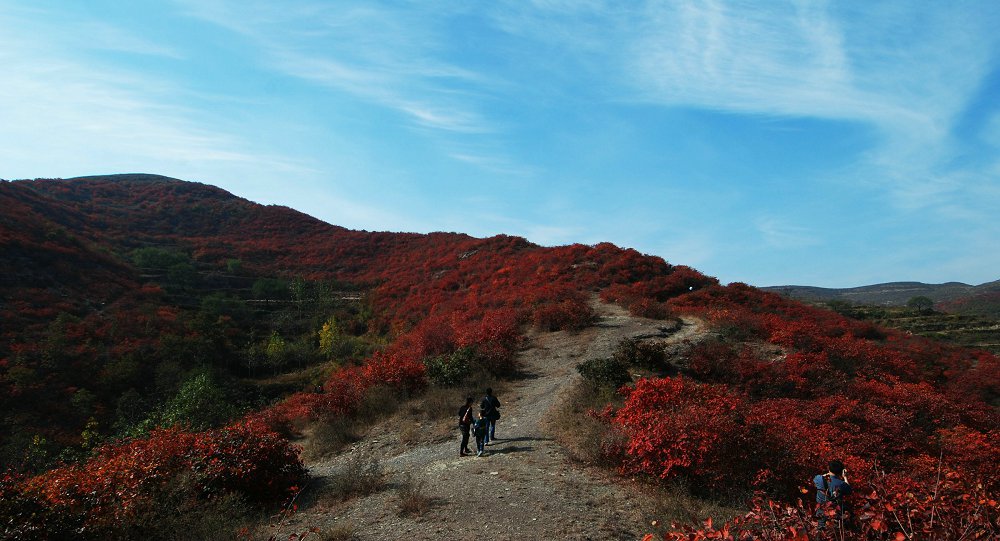 禹州天垌红叶