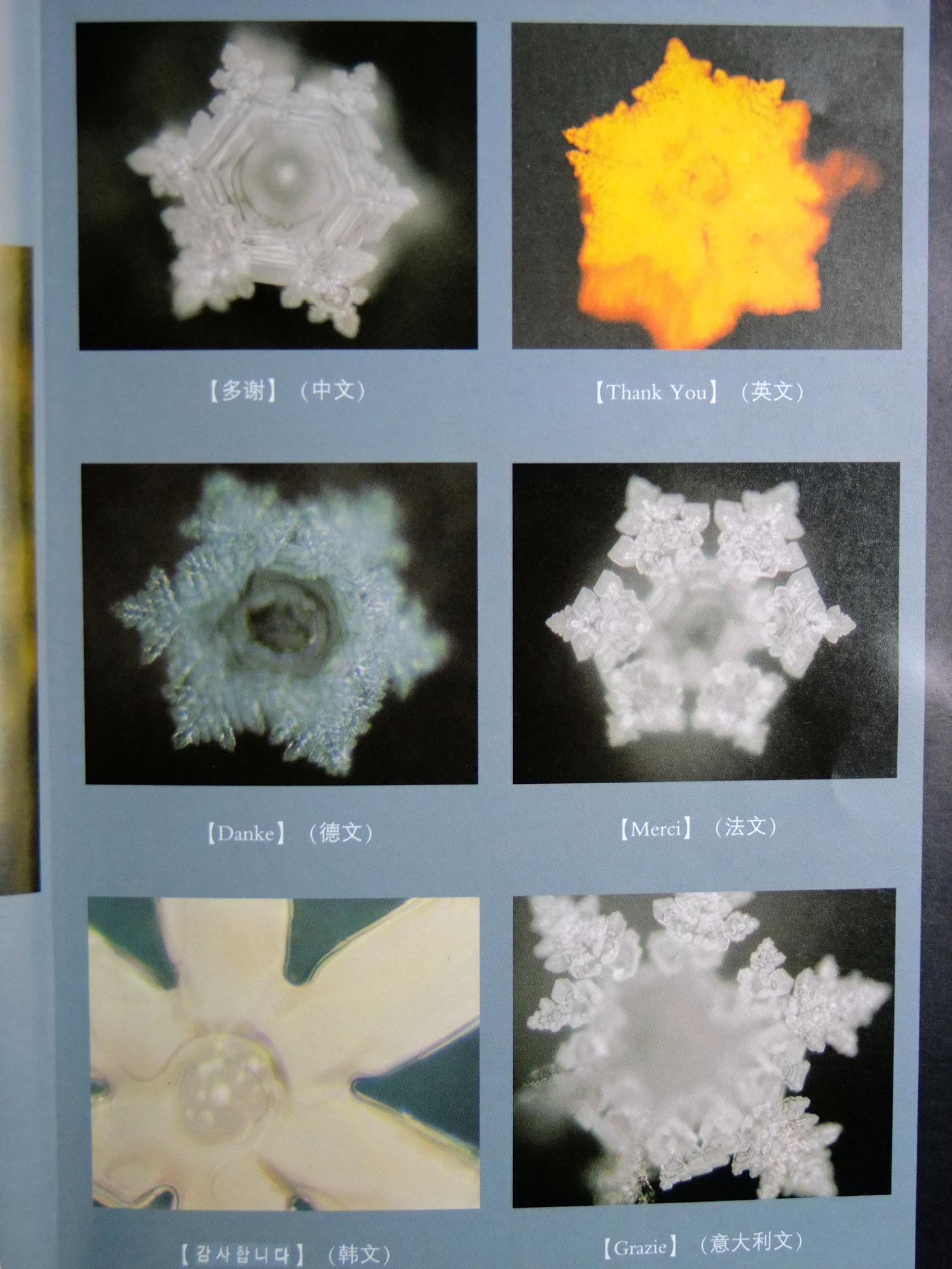 水知道生命的答案