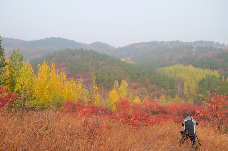 狩猎者-新闻纪实-36行南阳社区-36.01ny.cn