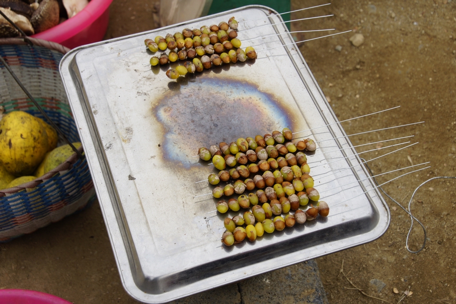 千年银杏谷-新手图集-36行南阳社区-36.01ny.c