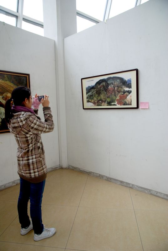 南阳市教育系统首届书法绘画摄影作品展摄影-