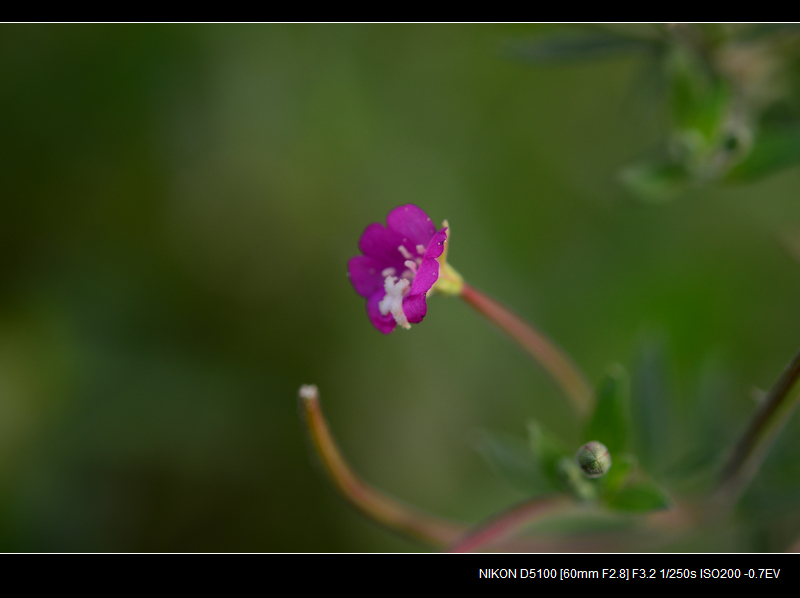 DSC_0424.jpg