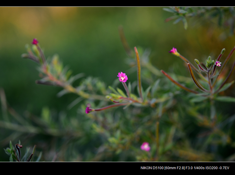 DSC_0427.jpg