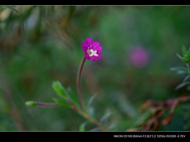 DSC_0428.jpg