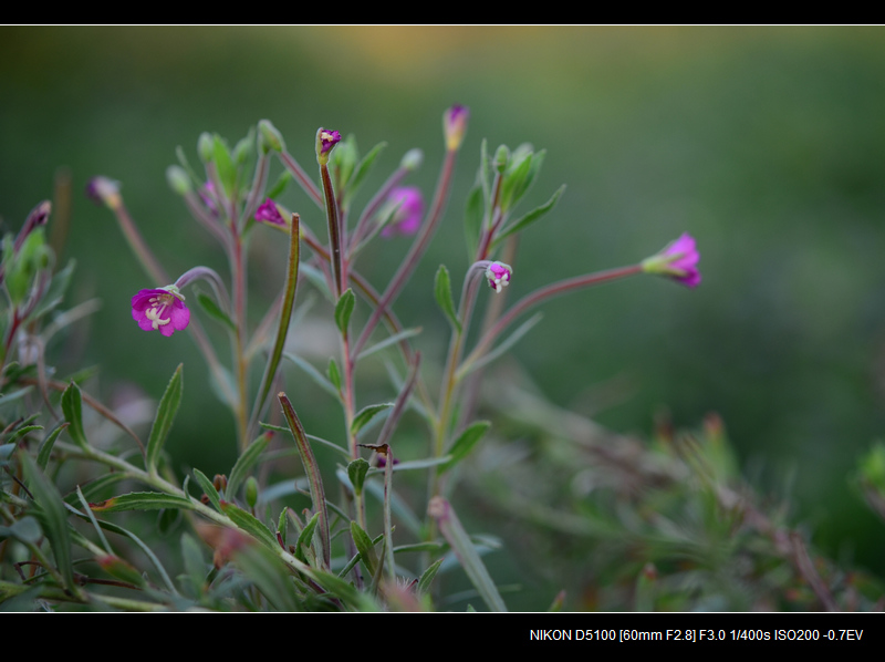 DSC_0430.jpg