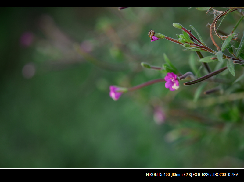 DSC_0431.jpg