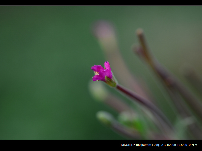 DSC_0432.jpg