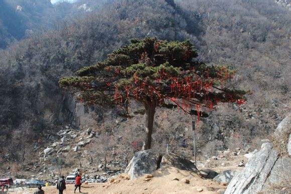 【镇平】——金顶(五朵山)风景篇