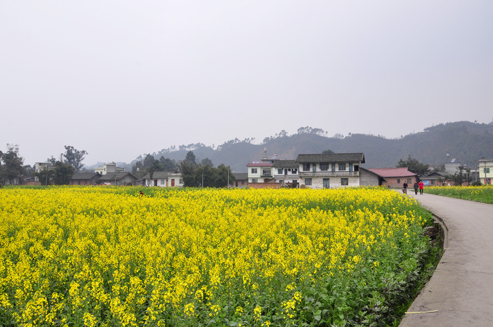 春暖花开歌词和曲谱