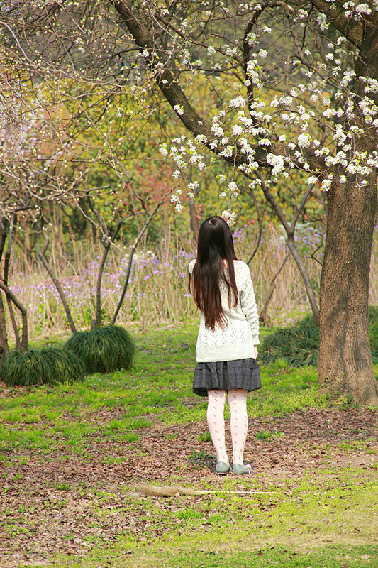 蹭拍樱花树下日本女