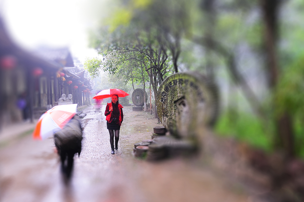红尘烟雨_烟雨红尘收入(3)