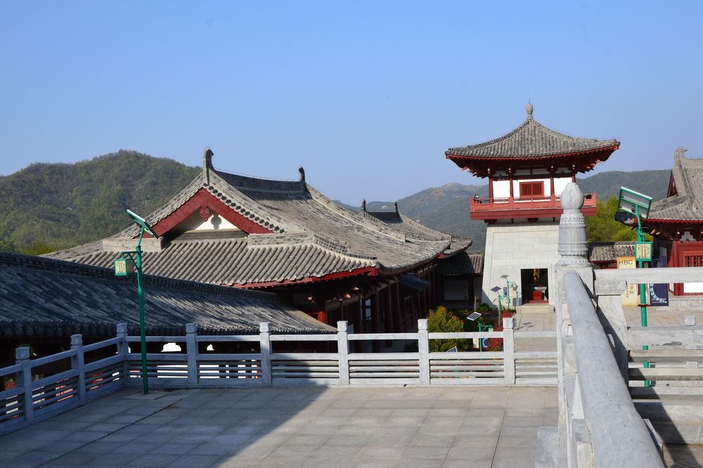 nEO_IMG_DSC_0313.jpg