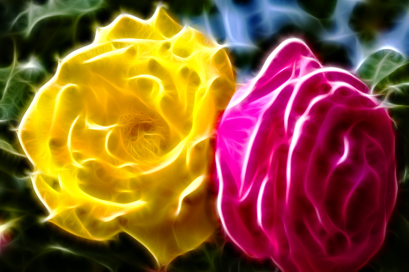 5D3_9283.jpg