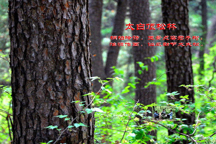 001  ̫׶--001  DSC_0113.gif