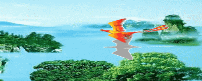火凤凰2.gif