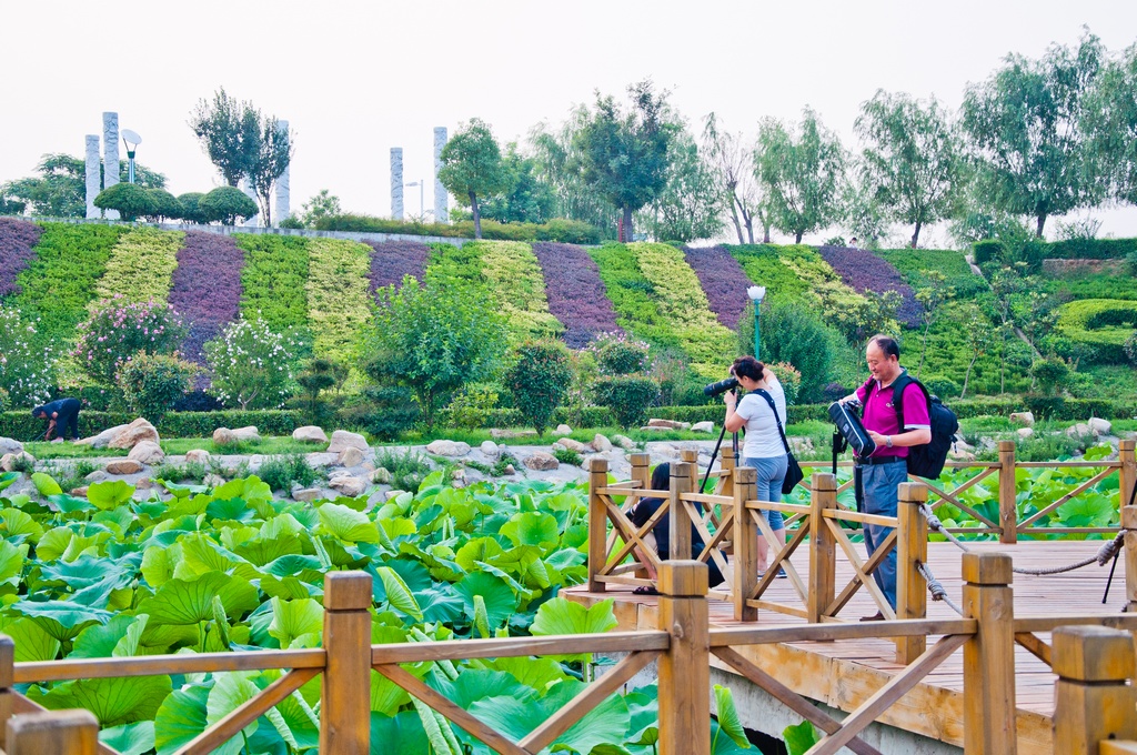 社旗赵河公园采风花絮