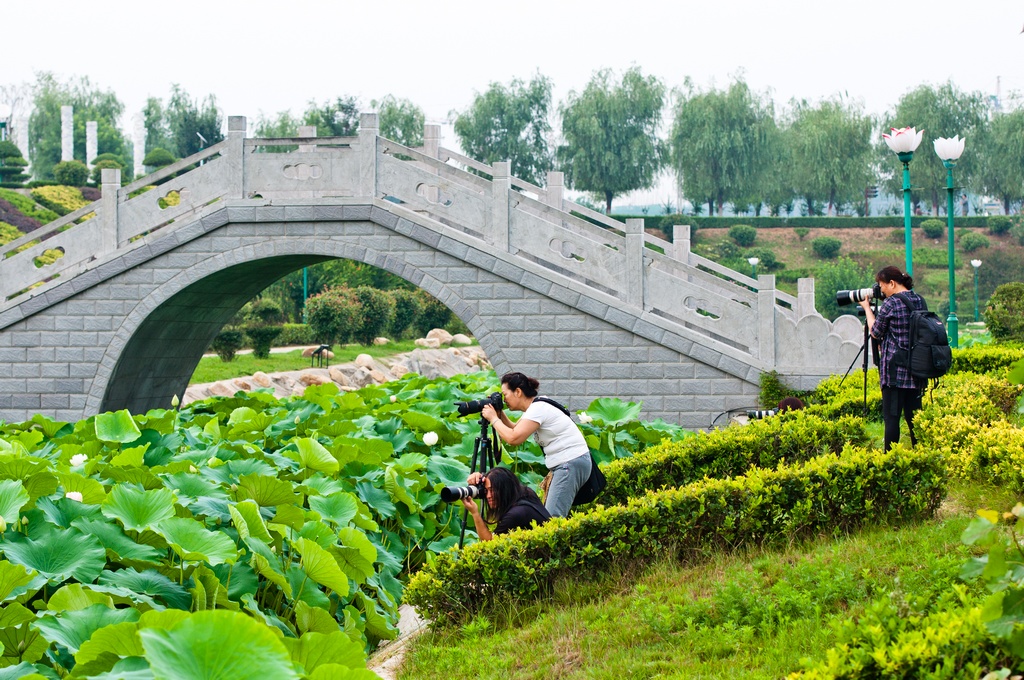 社旗赵河公园采风花絮