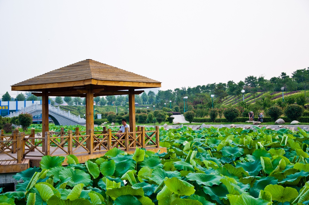 赵河公园小景