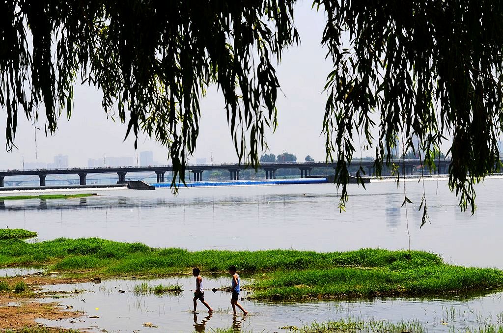 南阳白河夏日景色