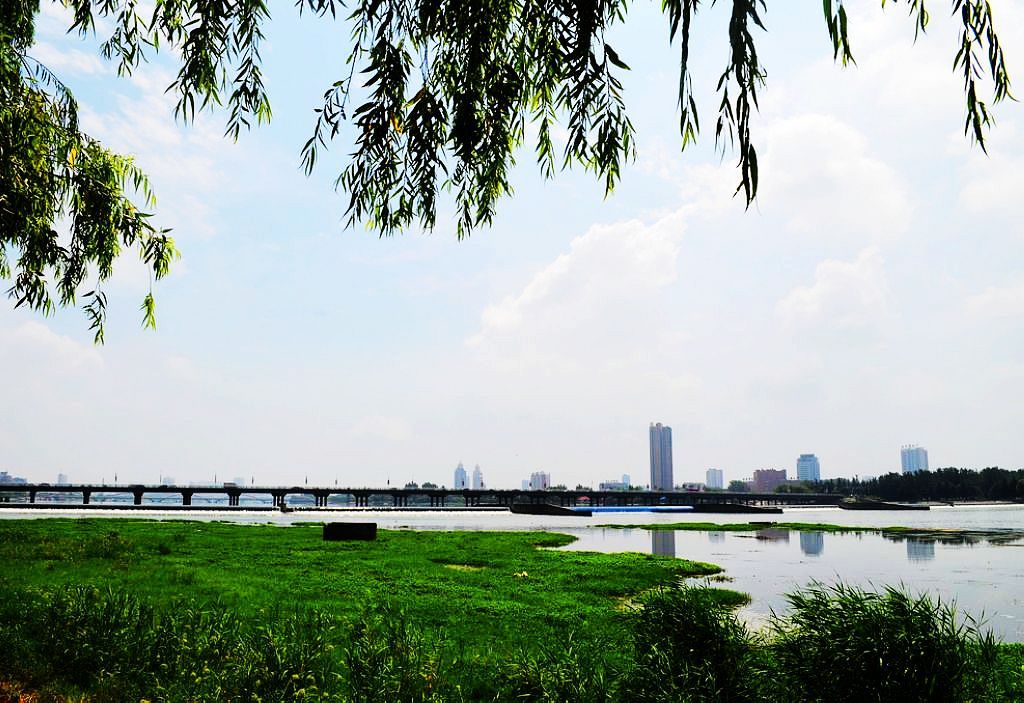 南阳白河夏日景色