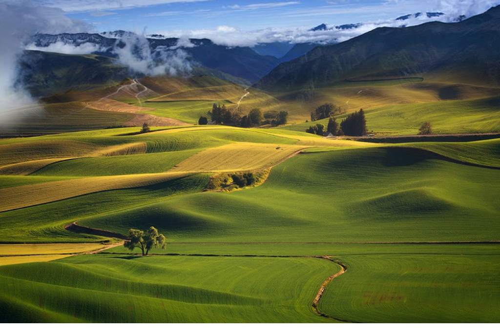  祁连山 风光-行摄风光-36行南阳社区-bbs.01ny.