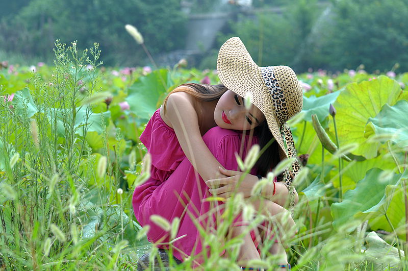 荷花美女