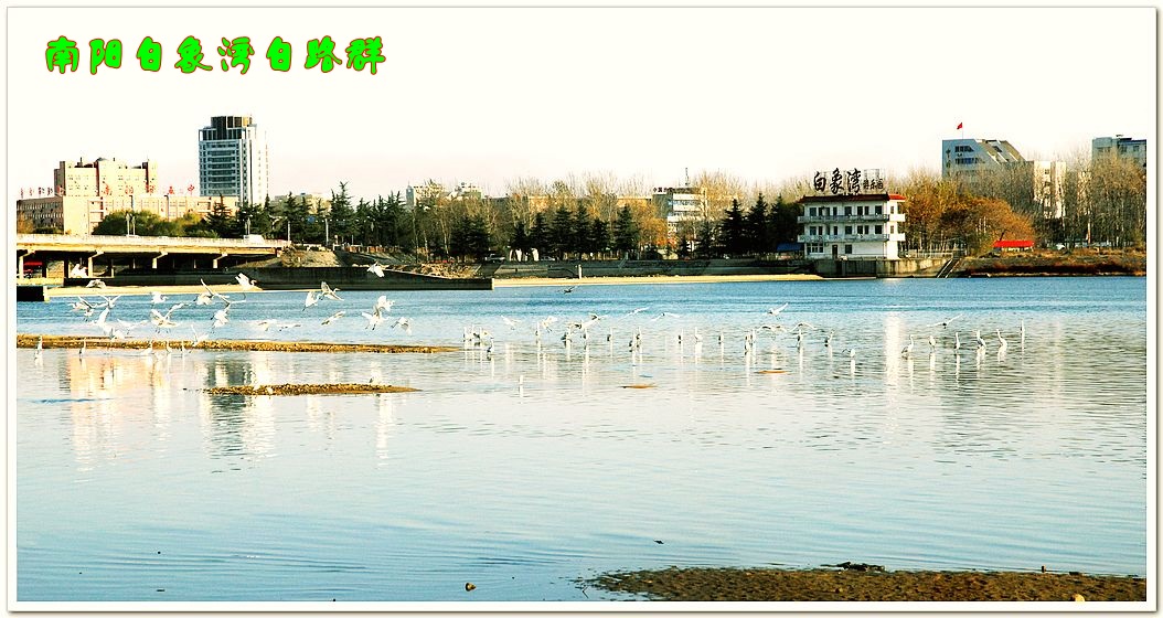 南阳白象湾白路群