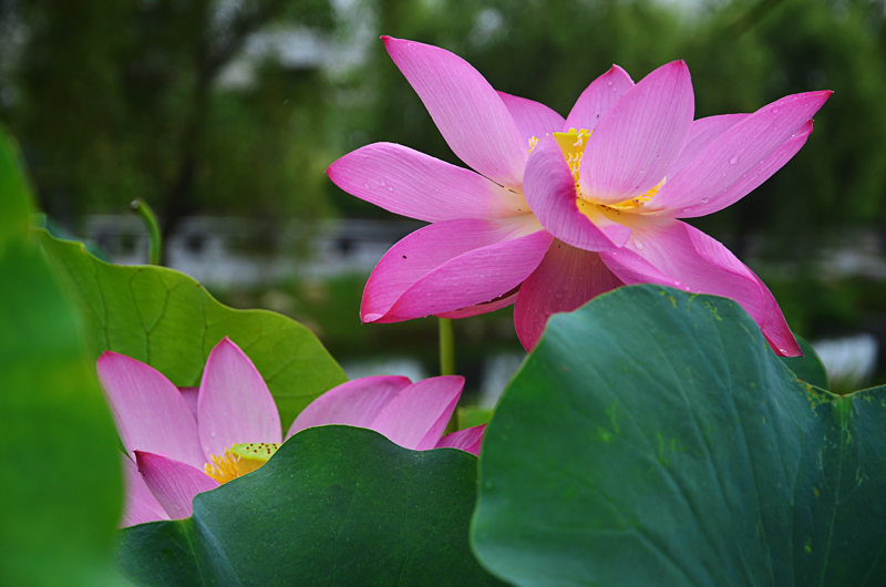 <em>姊妹花</em>-万里骑行部-36行南阳社区-bbs.01ny.cn