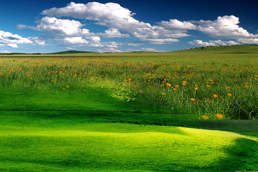 坝上<em>风光无限</em>(二)-行摄风光-36行南阳社区-bbs