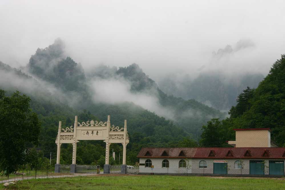 西峡县老界岭景区全国摄影大赛延期投稿公告