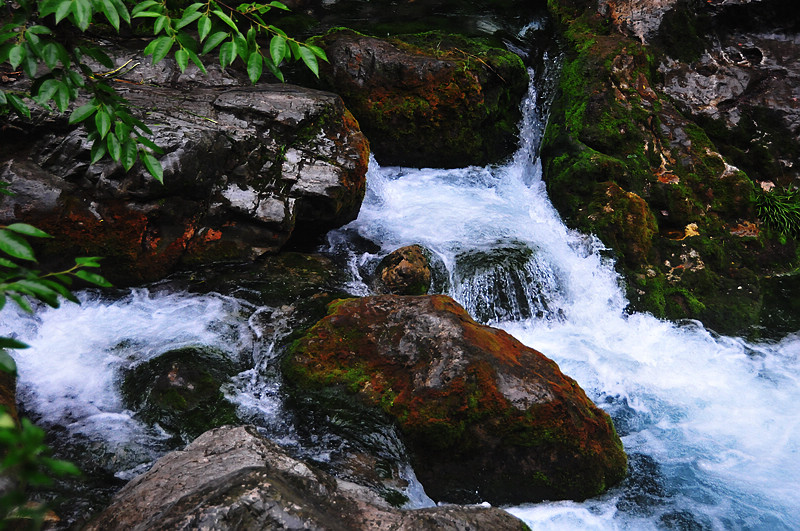 DSC_3570.jpg