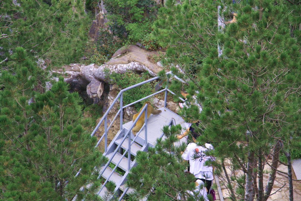 IMG_6995.jpg