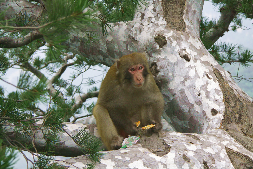 IMG_7009.jpg
