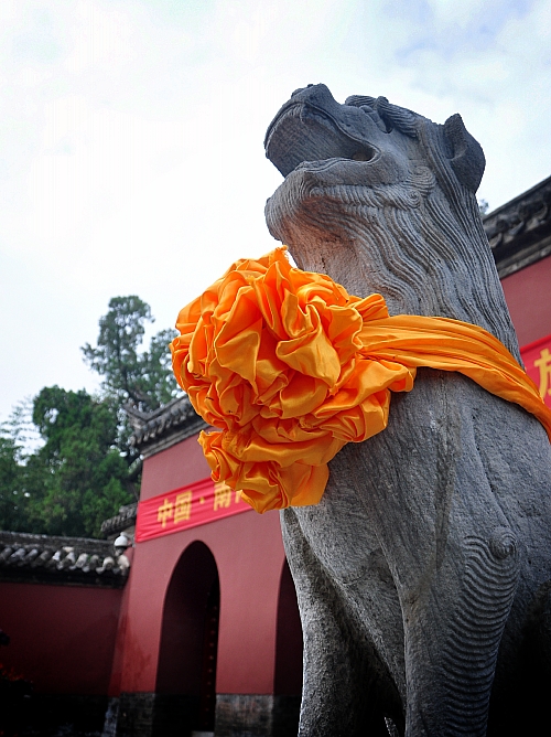 20130803 012_conew1.jpg