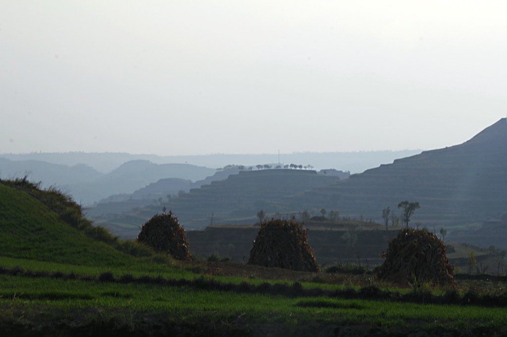 Ƭ 069.jpg