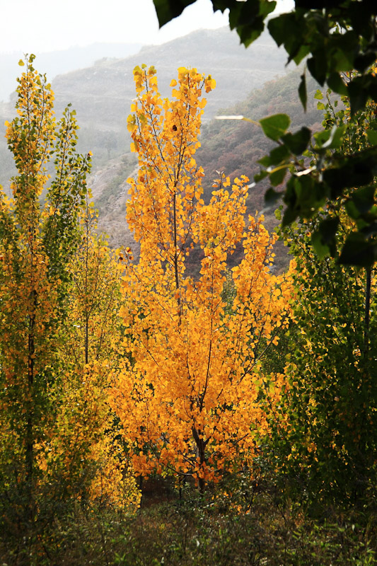 DPP_0005.jpg
