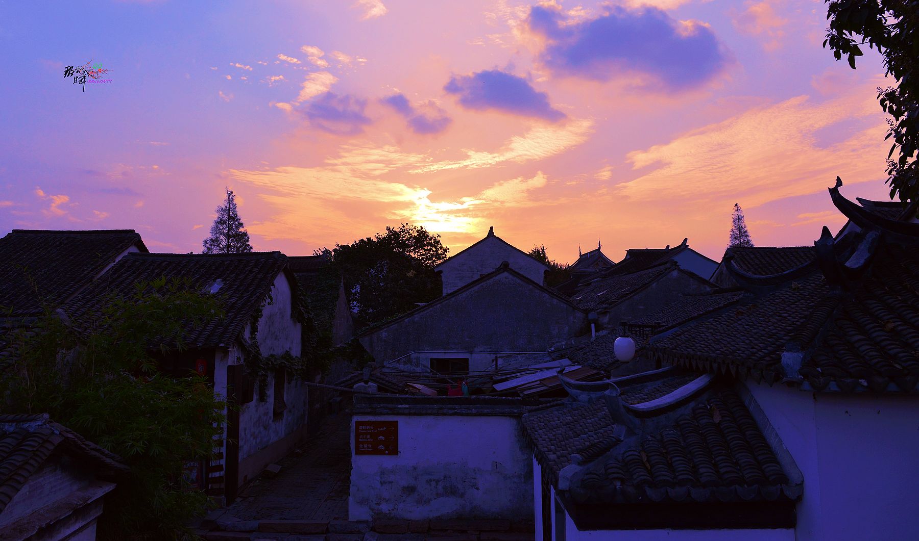 DSC_2930_.jpg