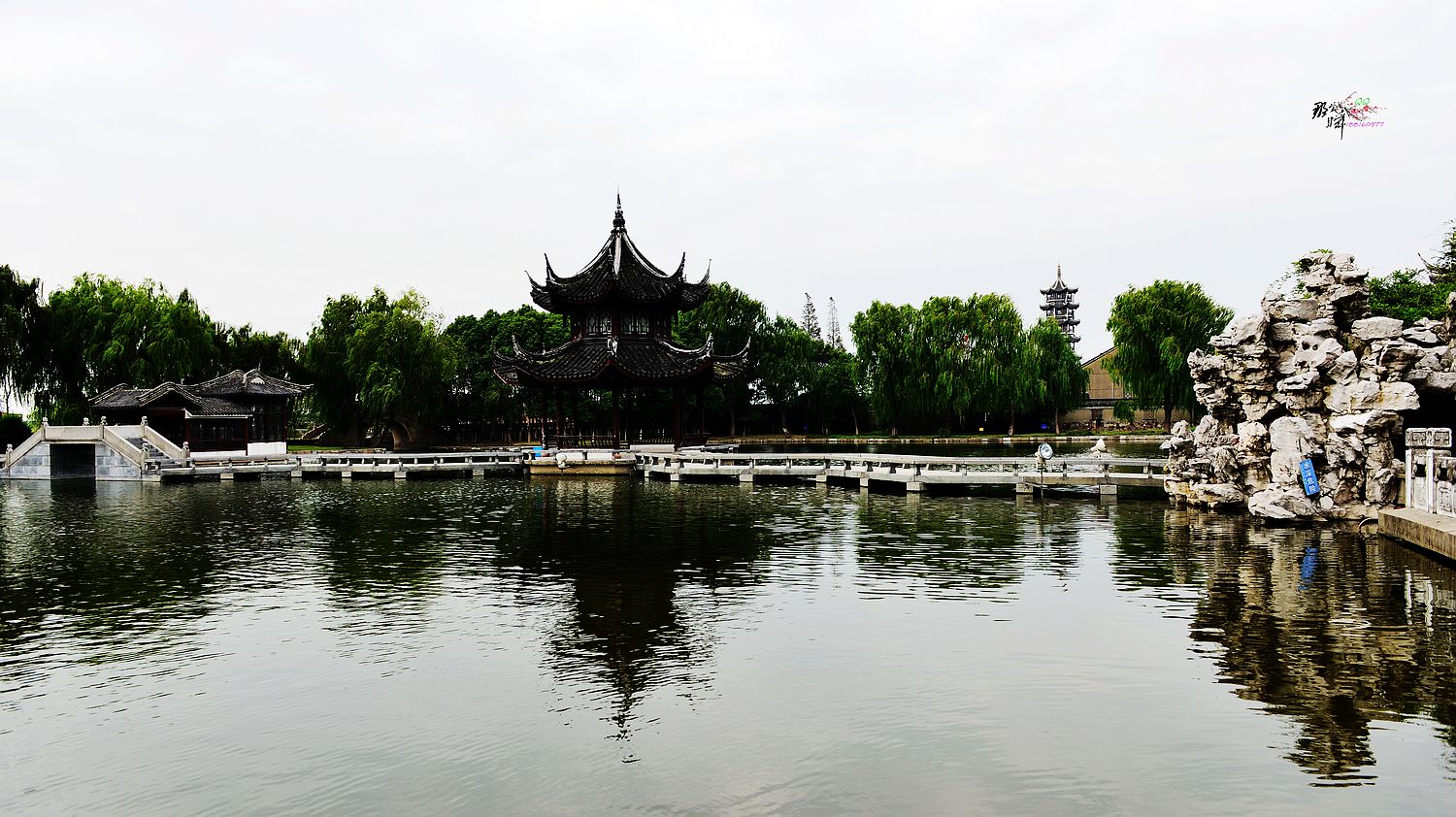 DSC_3134_.jpg