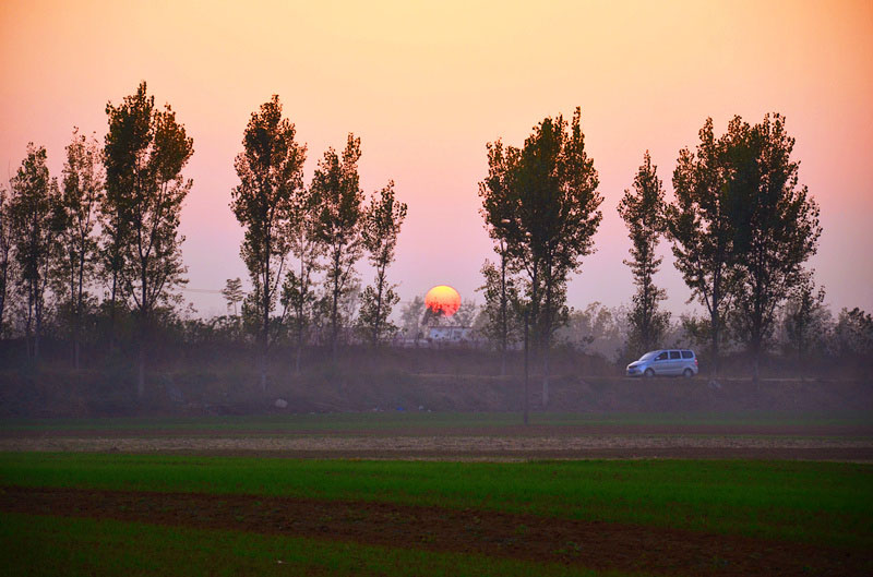 DSC_4584_.jpg
