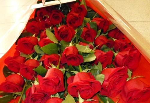 好好学习,天天向上-油田说吧-36行南阳社区-