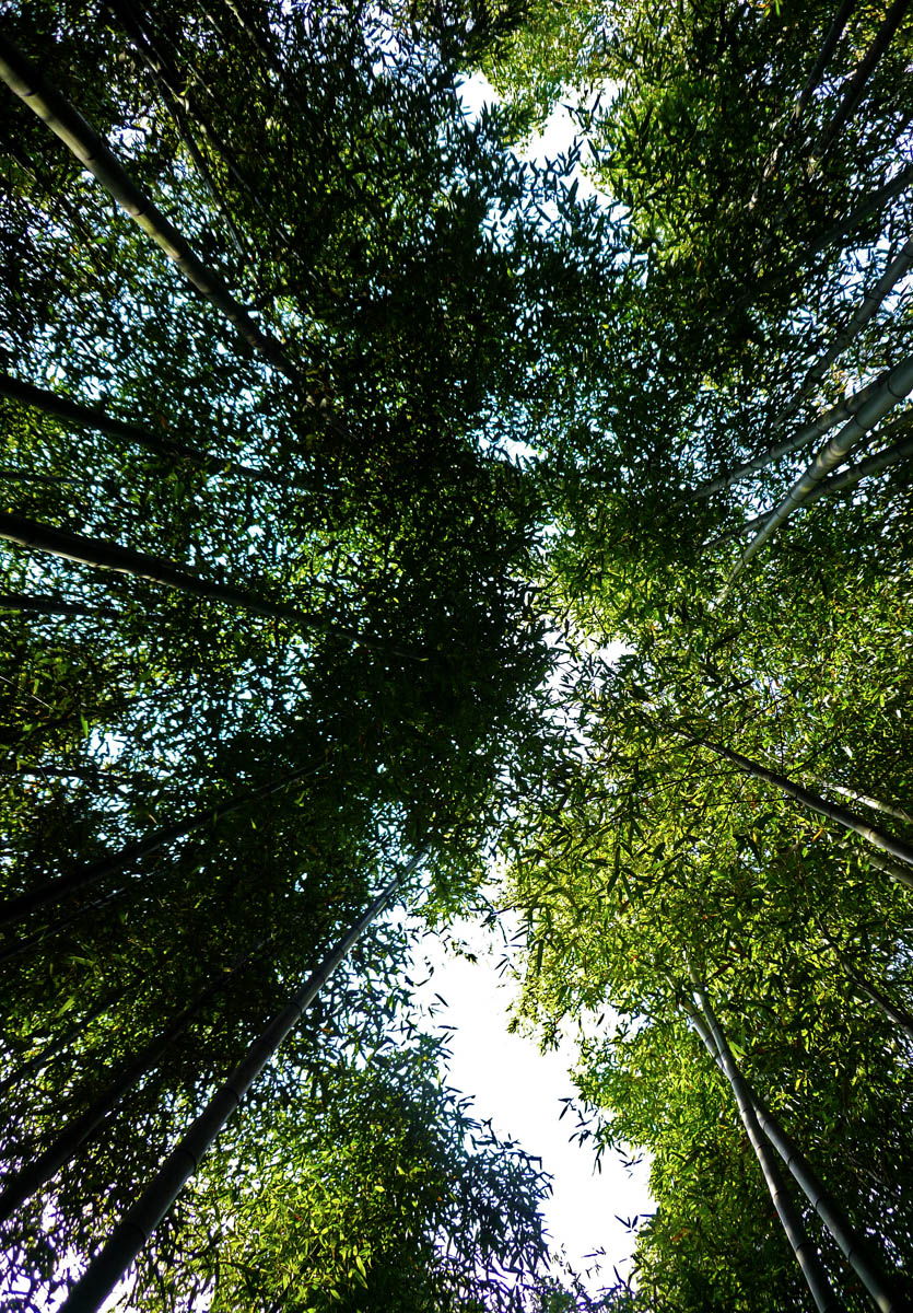 P1090083.jpg