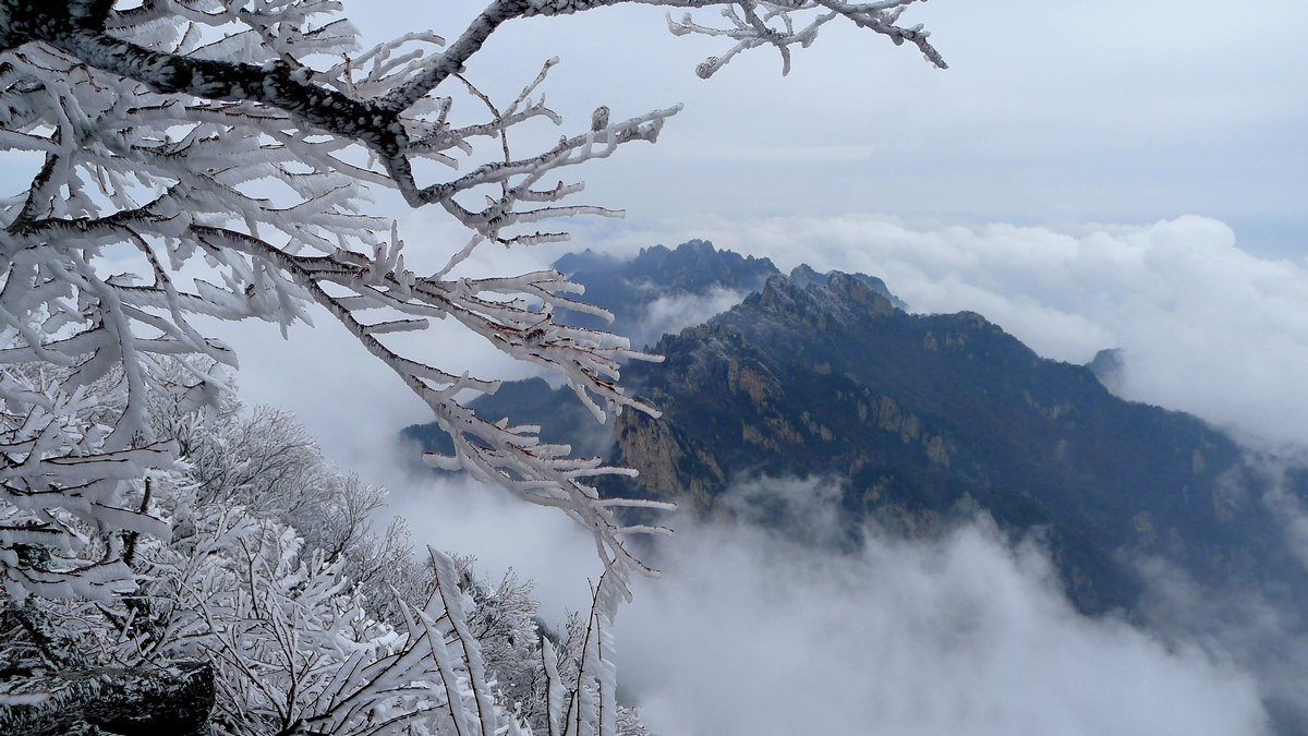 冰天雪地老君山.