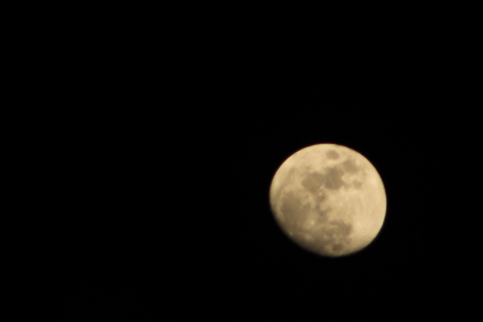 IMG_0850.-JPG.jpg