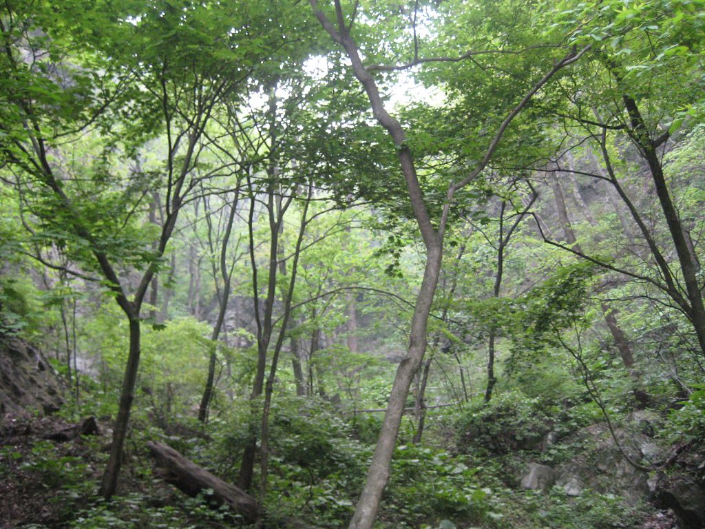 IMG_1653.jpg
