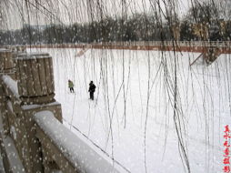 关于雪的诗句你知道那个?-文友聊吧-36行南阳