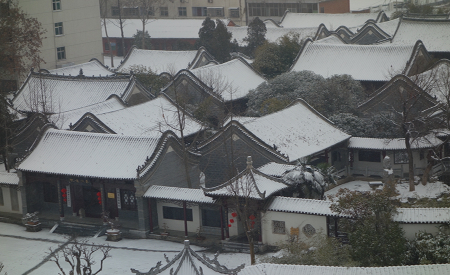 DSC00402.JPG