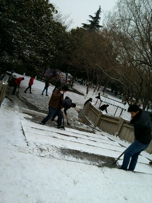 南阳博爱团队8名网友义务铲雪 让行人出行方便