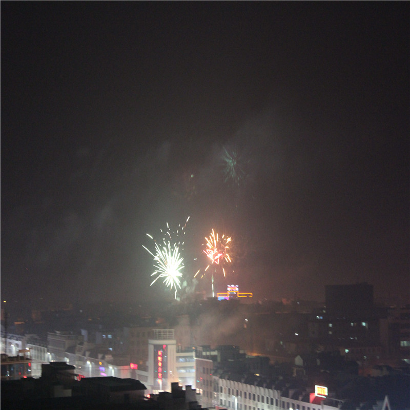 IMG_3907.jpg