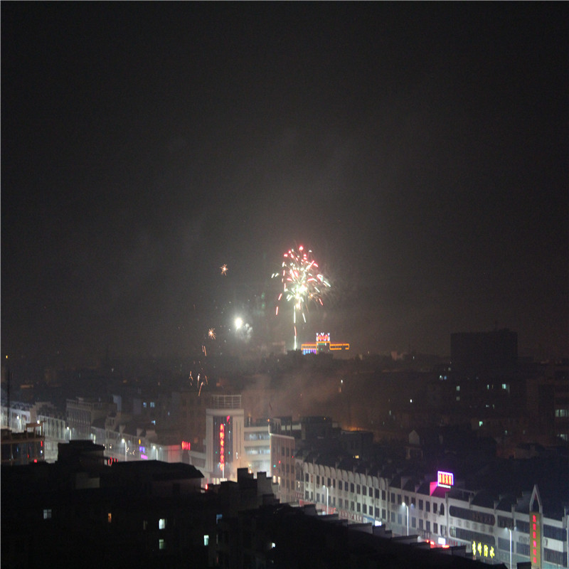 IMG_3908.jpg
